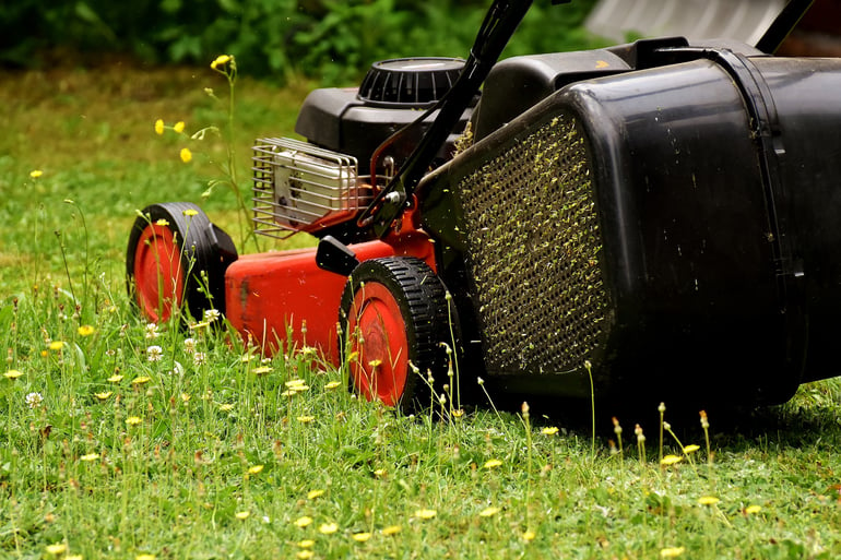 lawn mowing in spring.jpg