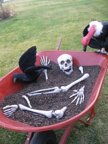 wheelbarrow of bones.jpg